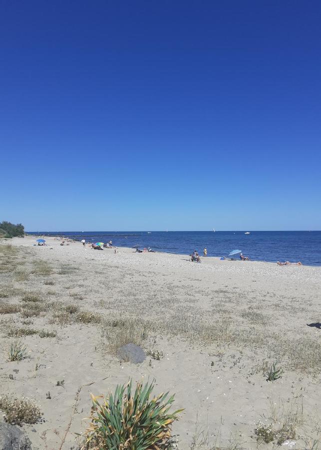 Cap D Agde 200M Plage Du Mole Acces Direct Aux Rues Pietonnes エクステリア 写真